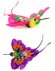 kolibrie 6 stuks