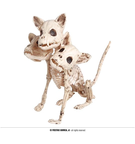 skelet hond 3 koppen 34 cm