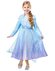 Elsa frozen II kostuum voor meisjes