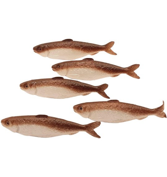 5 haarspelden vis