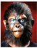 Apen gezicht latex professioneel