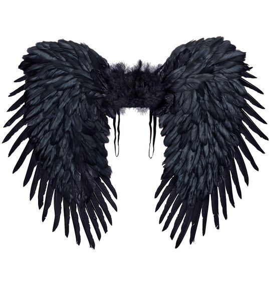 Zwarte luxe vleugels halloween