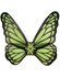 groene vlinder vleugels