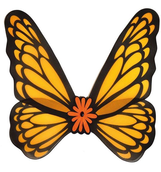 oranje vlinder vleugels