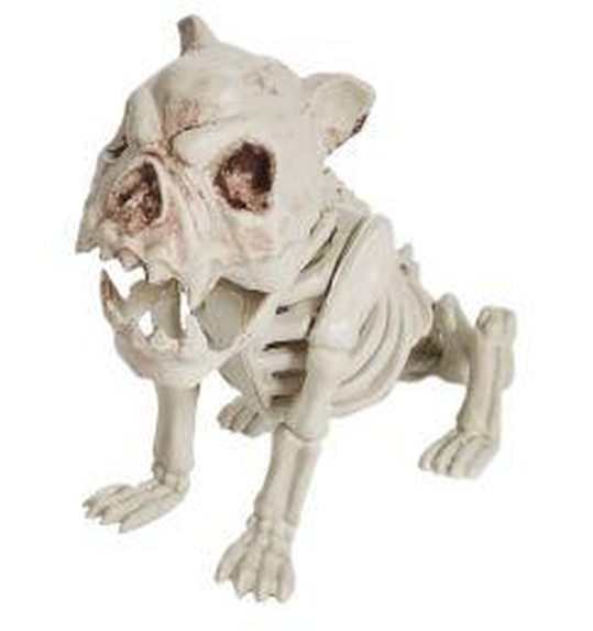 Hond Skelet 28cm