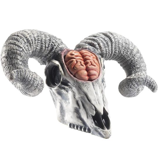 Latex ram hoofd met hersenen decoratie