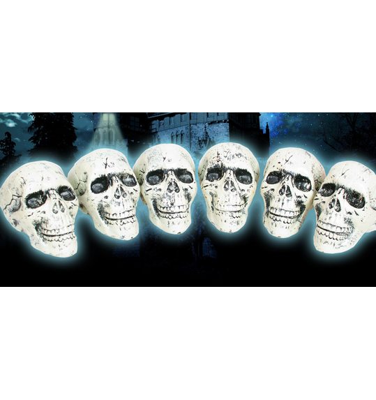 Set van 6 schedels doodshoofden