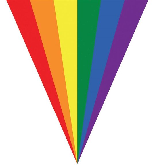 Vlaggenlijn 5m 10 vlaggen regenboog