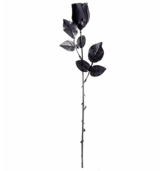 Zwarte roos per stuk