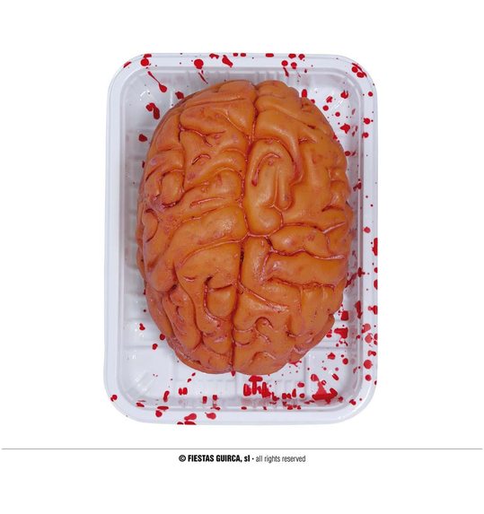 hersenen op schaaltje