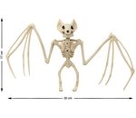 vleermuis skelet 30x17cm