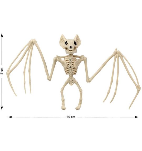 vleermuis skelet 30x17cm