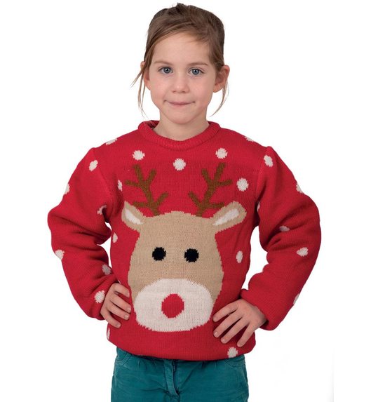 Kerst trui rendier  voor kids