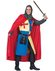 King ridder Richard kostuum