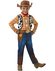 Woody toy story kostuum deluxe