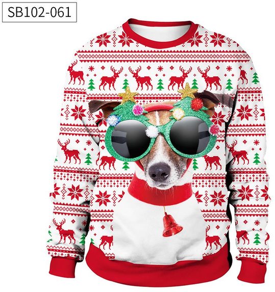 kerst trui hond met bril